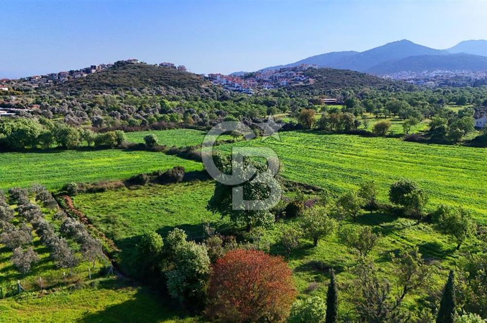 Datça Burgaz Arkası'nda 2.200 m² Bademlik