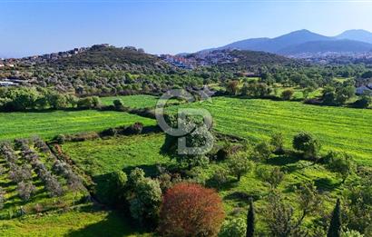 Datça Burgaz Arkası'nda 2.200 m² Bademlik
