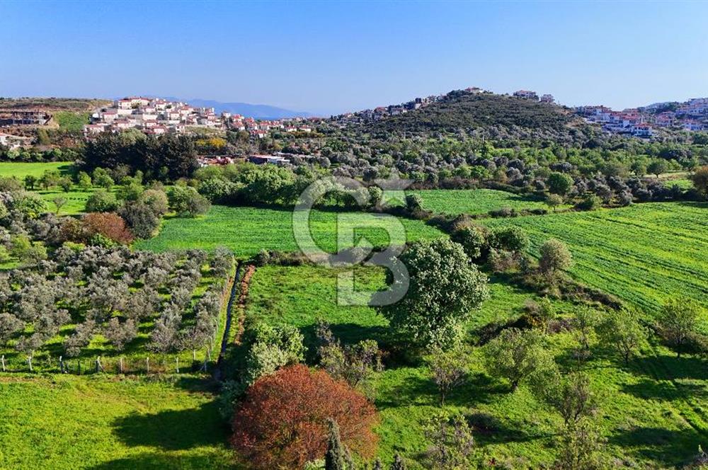 Datça Burgaz Arkası'nda 2.200 m² Bademlik