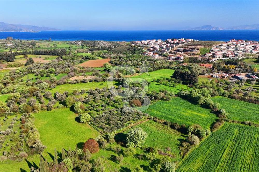 Datça Burgaz Arkası'nda 2.200 m² Bademlik