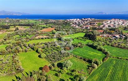 Datça Burgaz Arkası'nda 2.200 m² Bademlik