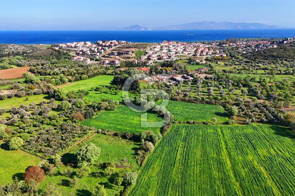 Datça Burgaz Arkası'nda 2.200 m² Bademlik