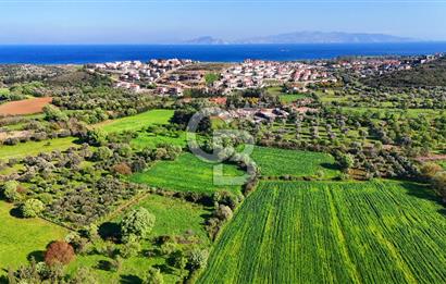 Datça Burgaz Arkası'nda 2.200 m² Bademlik