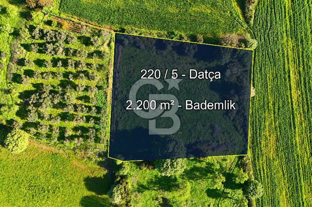 Datça Burgaz Arkası'nda 2.200 m² Bademlik