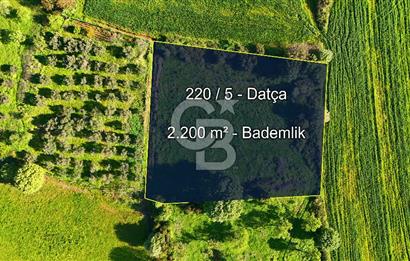Datça Burgaz Arkası'nda 2.200 m² Bademlik
