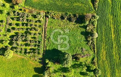 Datça Burgaz Arkası'nda 2.200 m² Bademlik