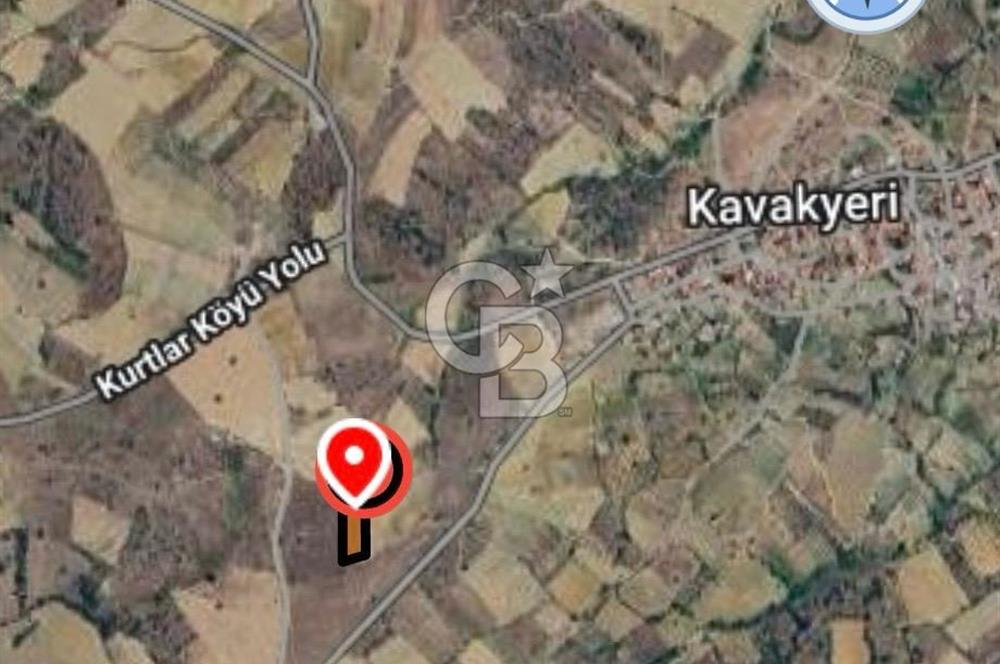 MANİSA KÖPRÜBBAŞINDA 2 DÖNÜM TARLA