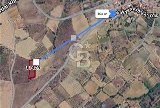 MANİSA KÖPRÜBBAŞINDA 2 DÖNÜM TARLA - 6 - 341858