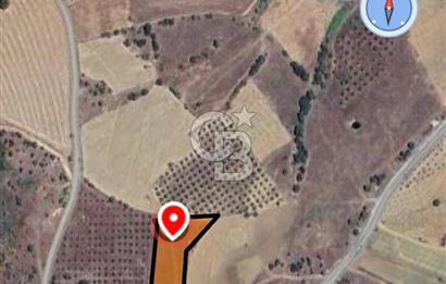 MANİSA KÖPRÜBBAŞINDA 2 DÖNÜM TARLA