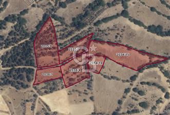 ESKİŞEHİR MİHALLIÇIK OBRUK KÖYÜNDE SATILIK 1.760 m² TARLA - 1 - 341861