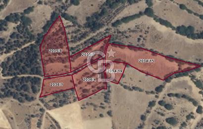 ESKİŞEHİR MİHALLIÇIK OBRUK KÖYÜNDE SATILIK 1.760 m² TARLA