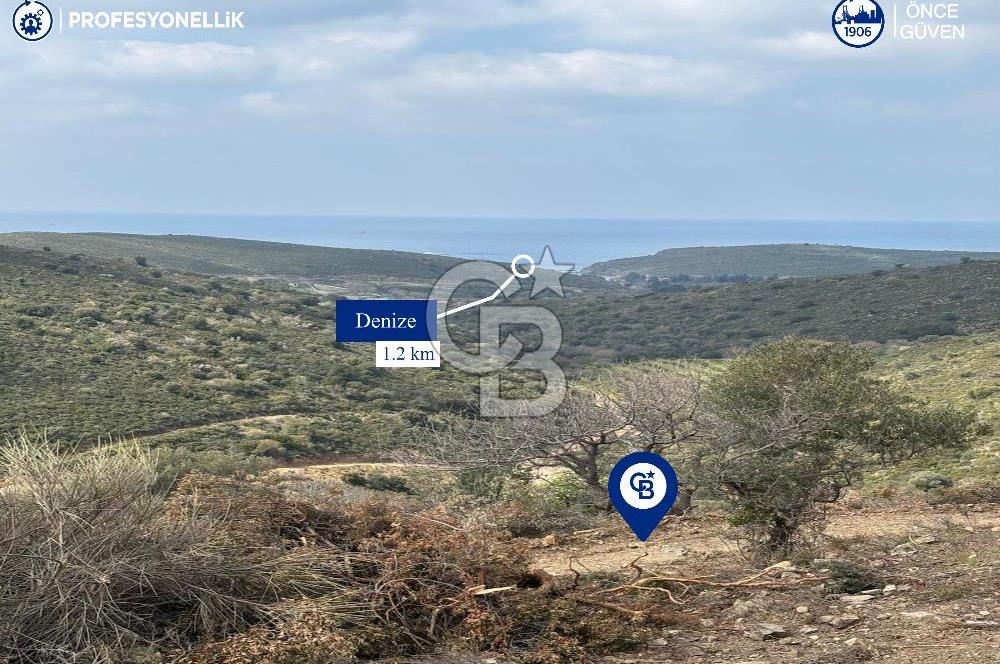 Karaburun Salman'da 9.482 m² Yatırımlık Satılık Tarla