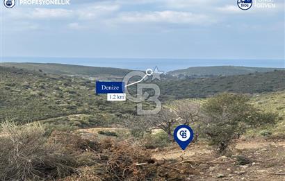 Karaburun Salman'da 9.482 m² Yatırımlık Satılık Tarla