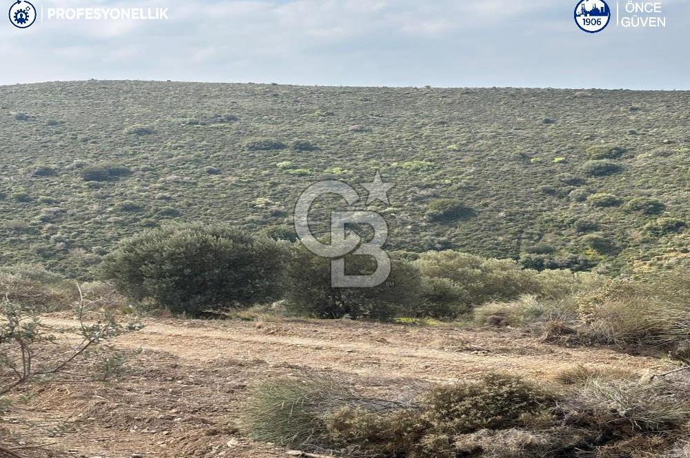 Karaburun Salman'da 9.482 m² Yatırımlık Satılık Tarla