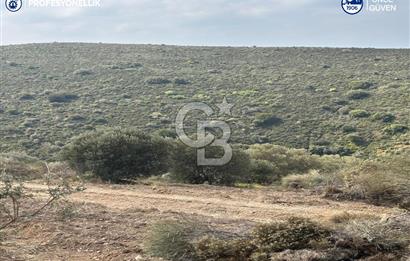 Karaburun Salman'da 9.482 m² Yatırımlık Satılık Tarla