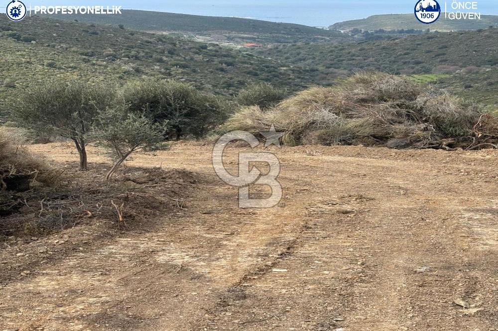 Karaburun Salman'da 9.482 m² Yatırımlık Satılık Tarla