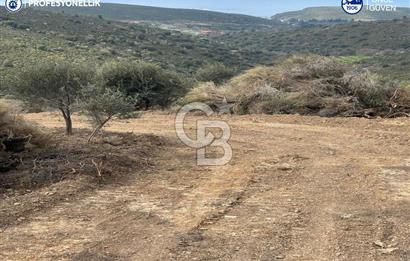 Karaburun Salman'da 9.482 m² Yatırımlık Satılık Tarla