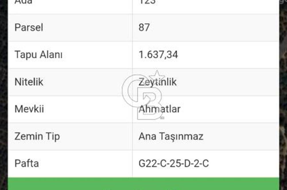 BURSA ORHANGAZİ KERAMET DE SATILIK 1637 M2 ZEYTİNLİK YOLA CEPHE