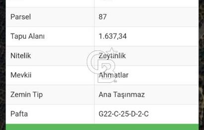 BURSA ORHANGAZİ KERAMET DE SATILIK 1637 M2 ZEYTİNLİK YOLA CEPHE