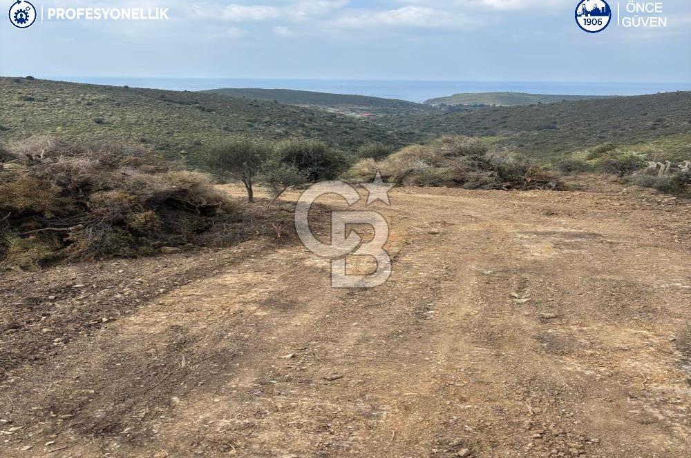 Karaburun Salman'da 9.482 m² Yatırımlık Satılık Tarla