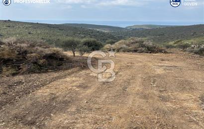 Karaburun Salman'da 9.482 m² Yatırımlık Satılık Tarla