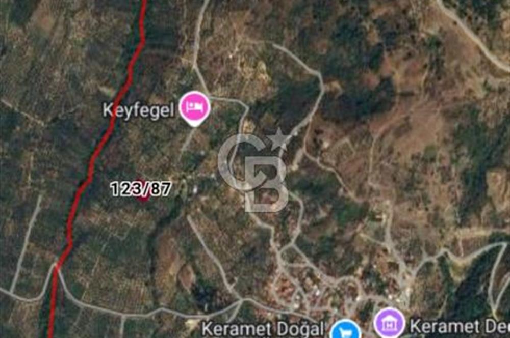 BURSA ORHANGAZİ KERAMET DE SATILIK 1637 M2 ZEYTİNLİK YOLA CEPHE