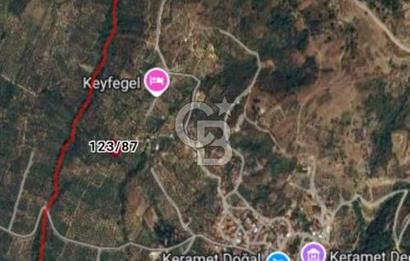 BURSA ORHANGAZİ KERAMET DE SATILIK 1637 M2 ZEYTİNLİK YOLA CEPHE