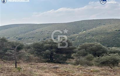 Karaburun Salman'da 9.482 m² Yatırımlık Satılık Tarla