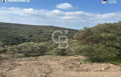 Karaburun Salman'da 9.482 m² Yatırımlık Satılık Tarla