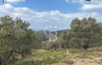 Karaburun Salman'da 9.482 m² Yatırımlık Satılık Tarla