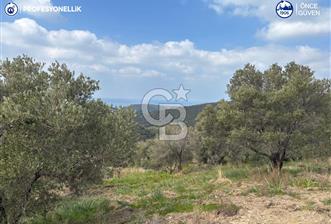 Karaburun Salman'da 9.482 m² Yatırımlık Satılık Tarla - 1 - 341932