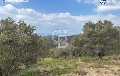 Karaburun Salman'da 9.482 m² Yatırımlık Satılık Tarla