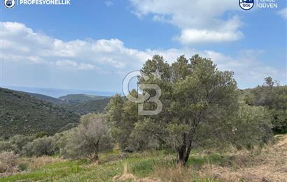 Karaburun Salman'da 9.482 m² Yatırımlık Satılık Tarla