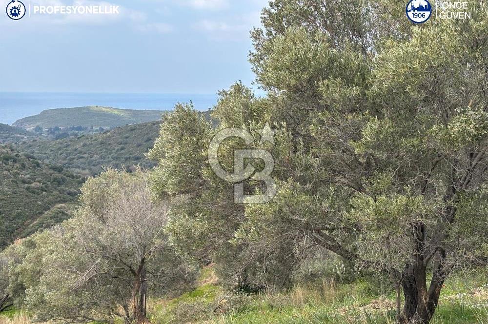 Karaburun Salman'da 9.482 m² Yatırımlık Satılık Tarla