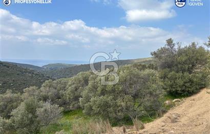 Karaburun Salman'da 9.482 m² Yatırımlık Satılık Tarla