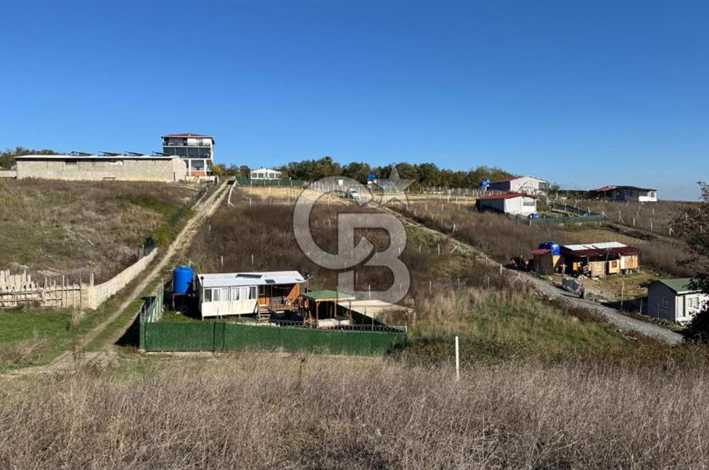 ÇATALCA DAĞYENİCE DE ÇAPLI ETRAFI ÇEVRİLİ KUPON ARS