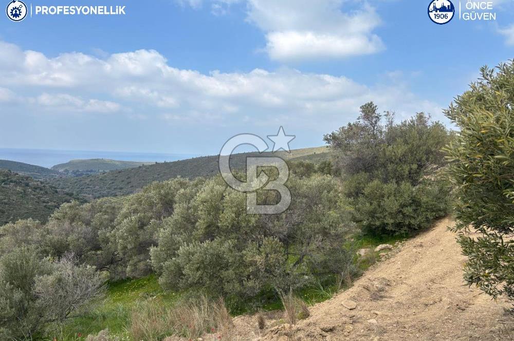 Karaburun Salman'da 9.482 m² Yatırımlık Satılık Tarla