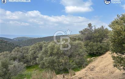 Karaburun Salman'da 9.482 m² Yatırımlık Satılık Tarla