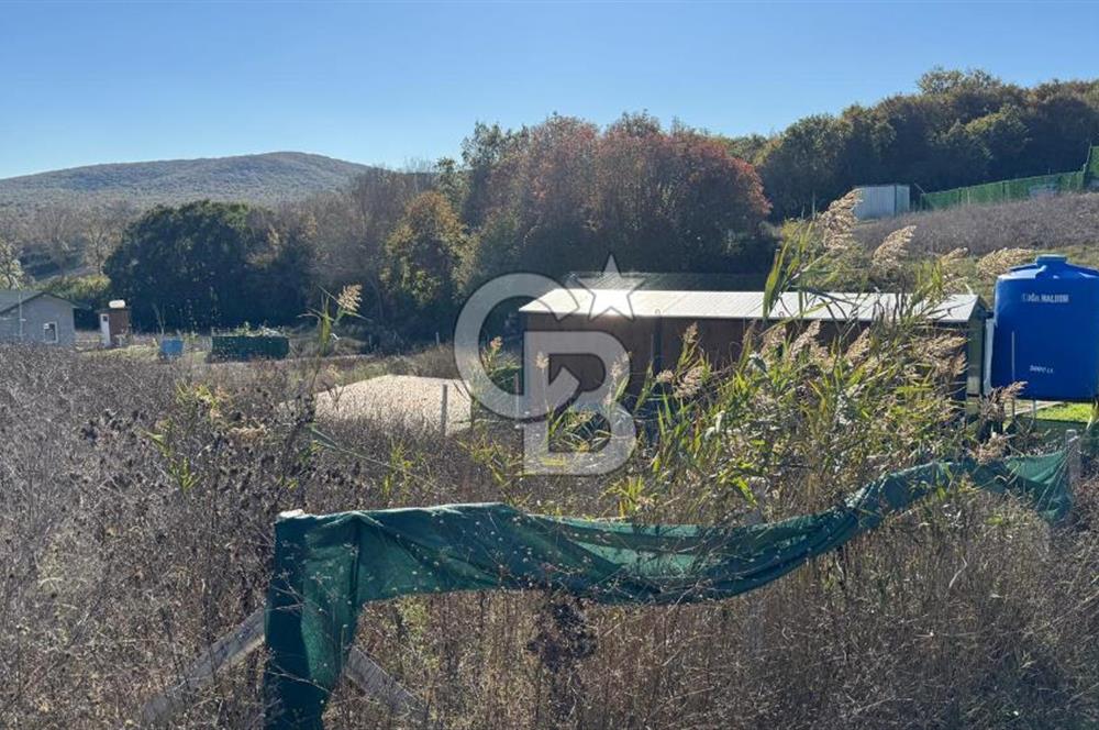 ÇATALCA DAĞYENİCE DE ÇAPLI ETRAFI ÇEVRİLİ KUPON ARS