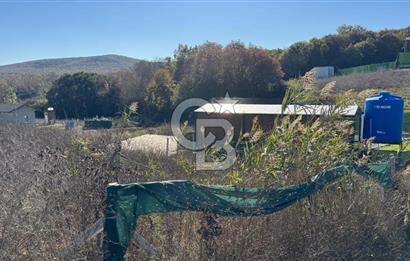 ÇATALCA DAĞYENİCE DE ÇAPLI ETRAFI ÇEVRİLİ KUPON ARS