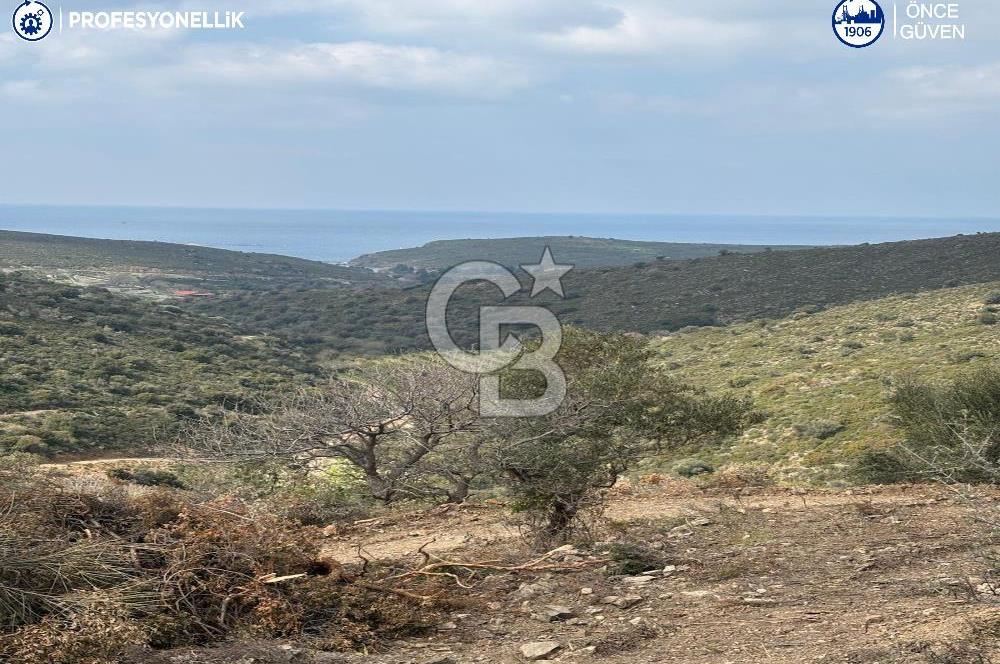 Karaburun Salman'da 9.482 m² Yatırımlık Satılık Tarla