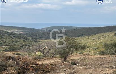 Karaburun Salman'da 9.482 m² Yatırımlık Satılık Tarla