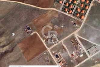  OLUKPINARDA VİLLA İMARLI 782 m² ARSA  - 6 - 341941