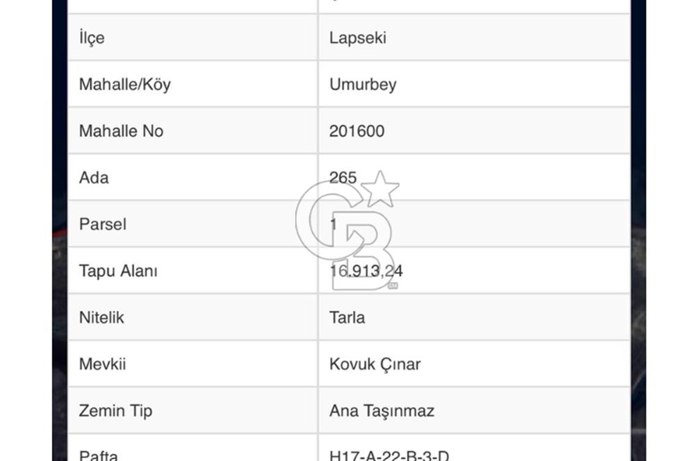 Lapseki Umurbeyde Çanakkale Boğazı Hattında Yatırıma Uygun Tarla