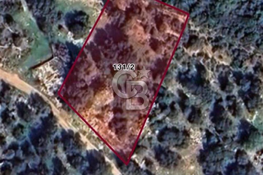 CB GİZ'DEN KAŞ GELEMİŞ YALI MEVKİİNDE SATILIK 2B TARLA