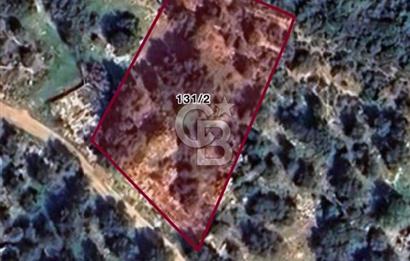 CB GİZ'DEN KAŞ GELEMİŞ YALI MEVKİİNDE SATILIK 2B TARLA