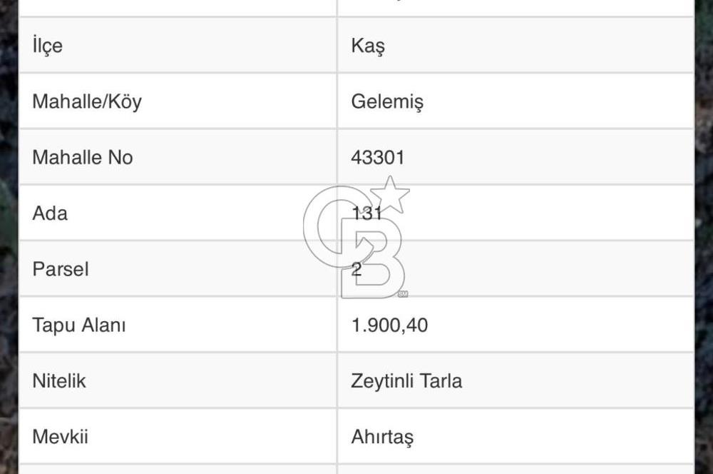CB GİZ'DEN KAŞ GELEMİŞ YALI MEVKİİNDE SATILIK 2B TARLA