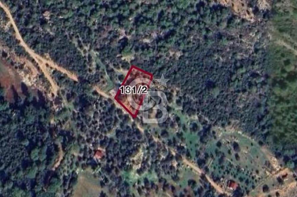 CB GİZ'DEN KAŞ GELEMİŞ YALI MEVKİİNDE SATILIK 2B TARLA