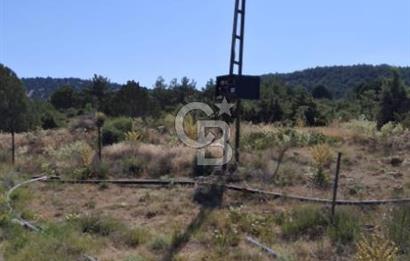 ⭐ PINARBAŞI’NDA SANAYİ ELEKTRİKLİ, KUYULU, 180 AĞAÇLI YATIRIMLIK CEVİZ ÇİFTLİĞİ