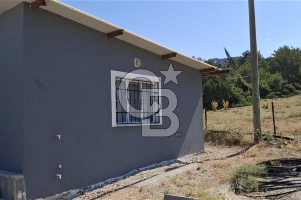 ⭐ PINARBAŞI’NDA SANAYİ ELEKTRİKLİ, KUYULU, 180 AĞAÇLI YATIRIMLIK CEVİZ ÇİFTLİĞİ